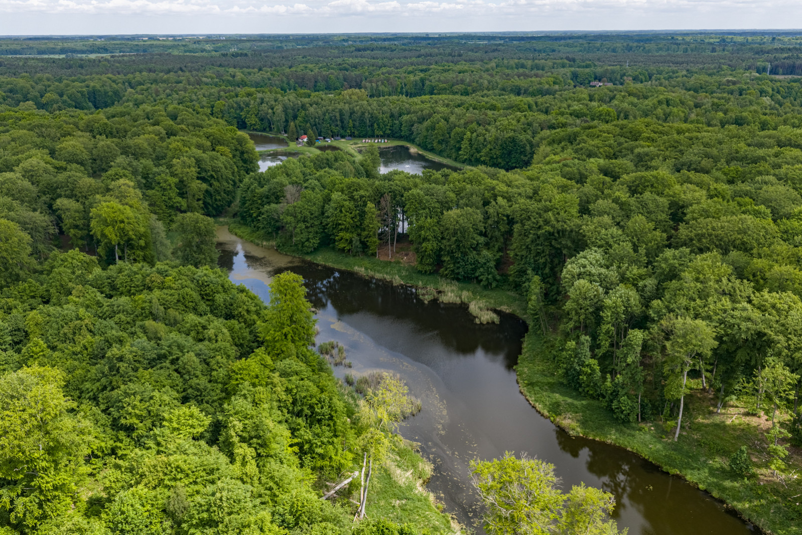 Działka Sprzedaż Wisławie 5