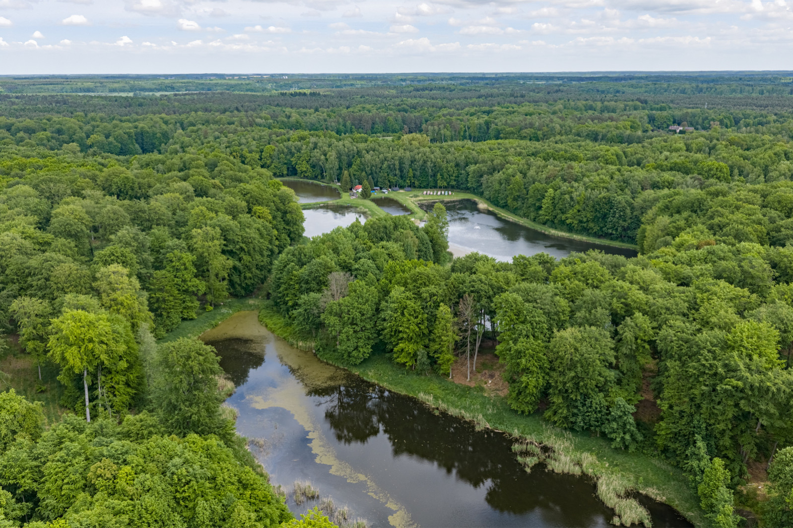 Działka Sprzedaż Wisławie 6
