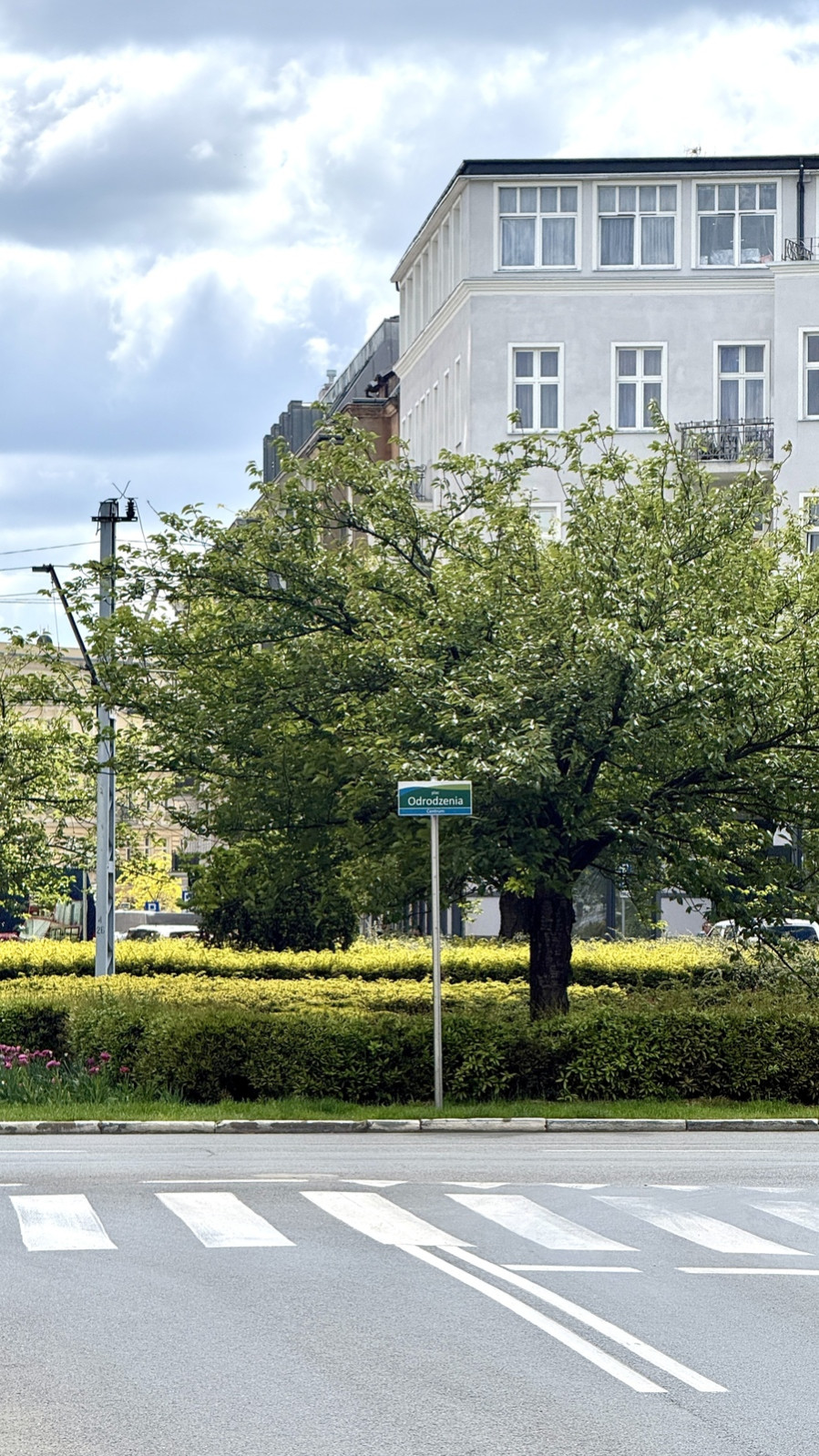 Mieszkanie Sprzedaż Szczecin Centrum Monte Cassino 31