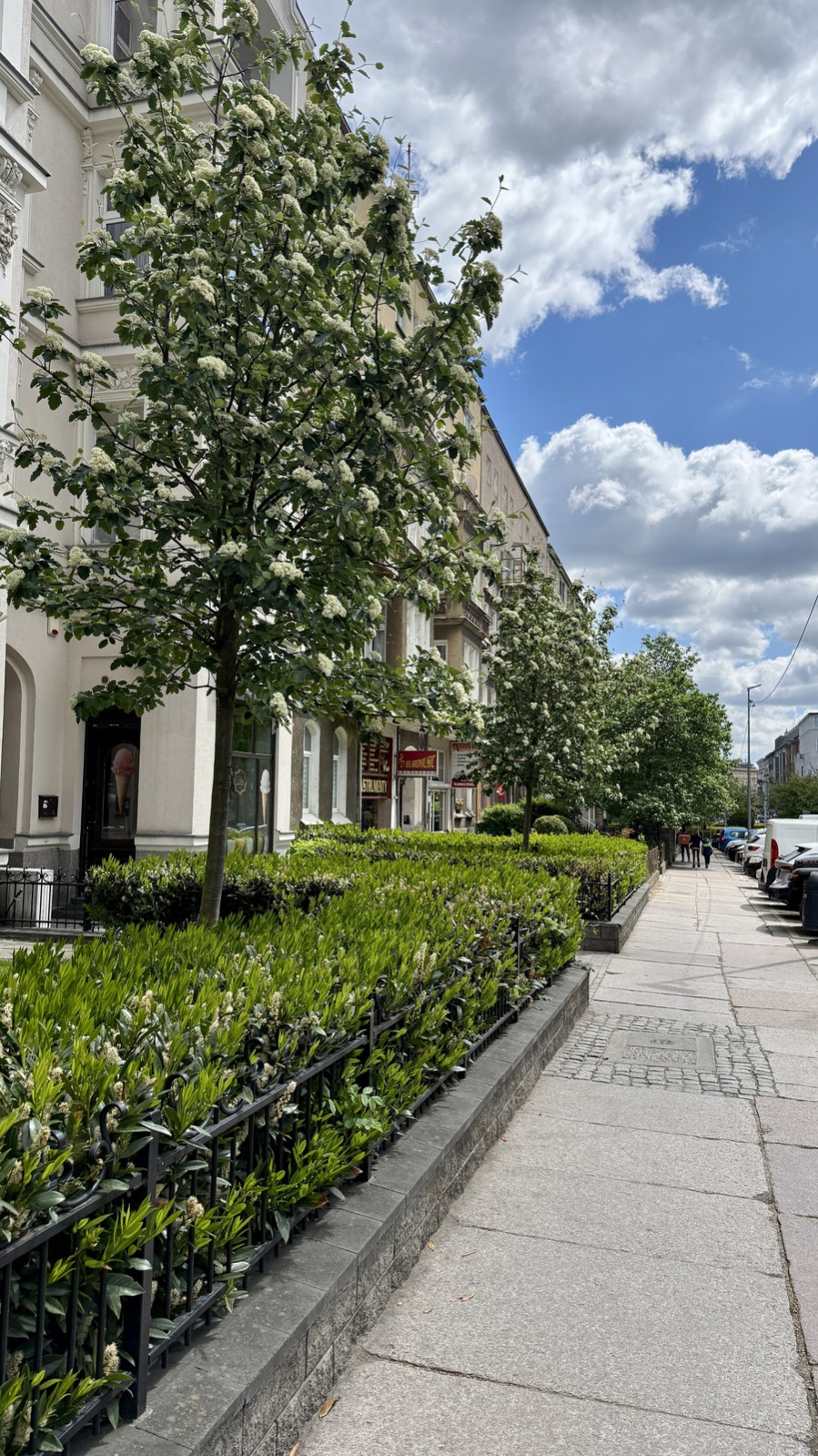 Mieszkanie Sprzedaż Szczecin Centrum Monte Cassino 1