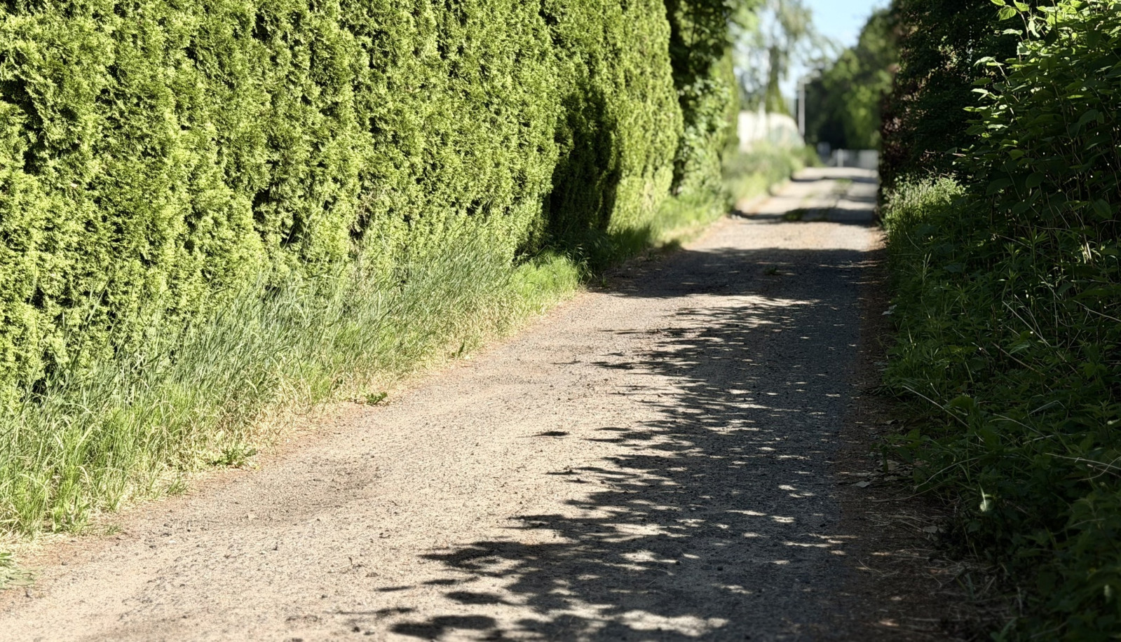 Działka Sprzedaż Dobra 2