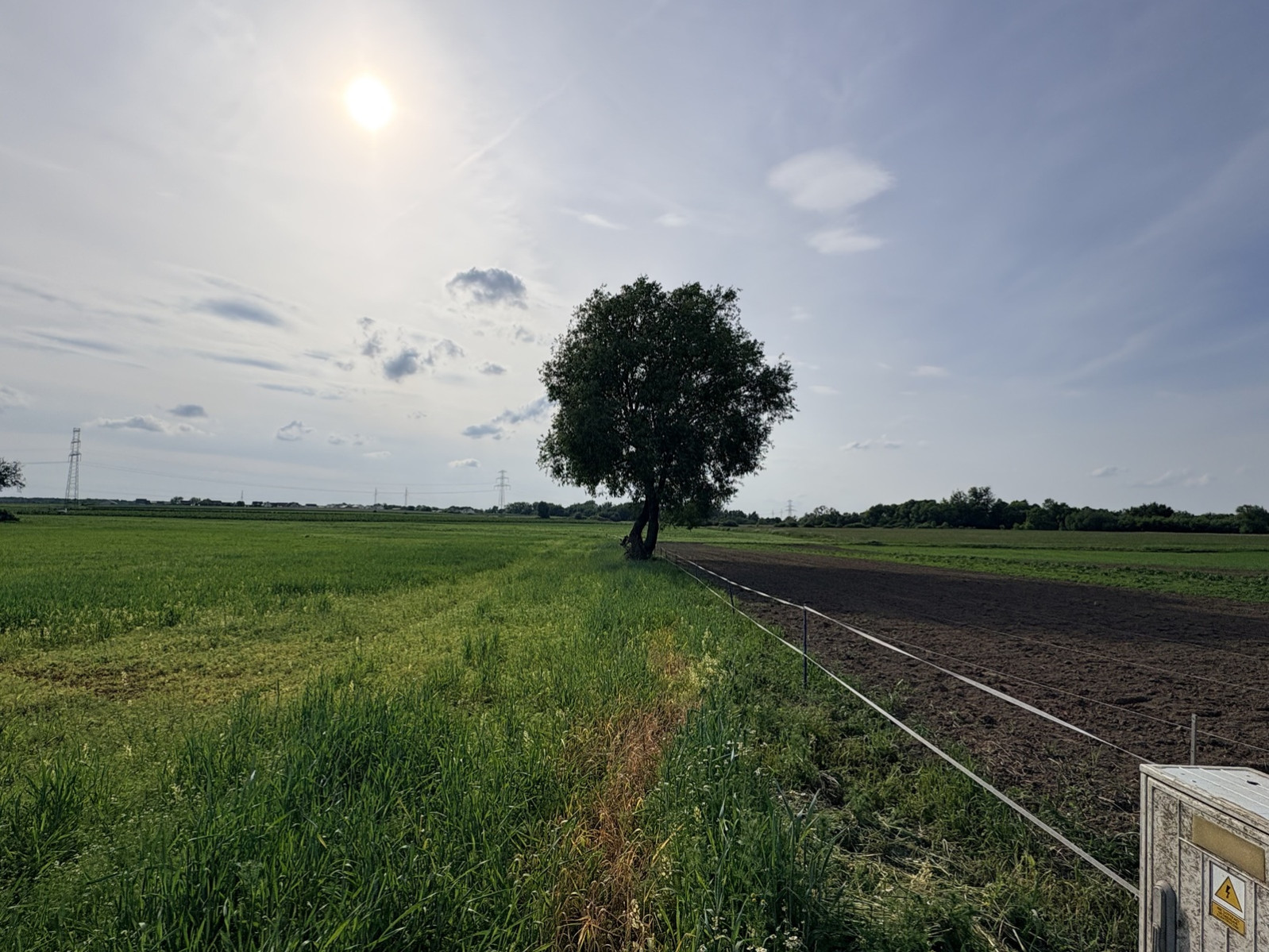 Działka Sprzedaż Przęsocin