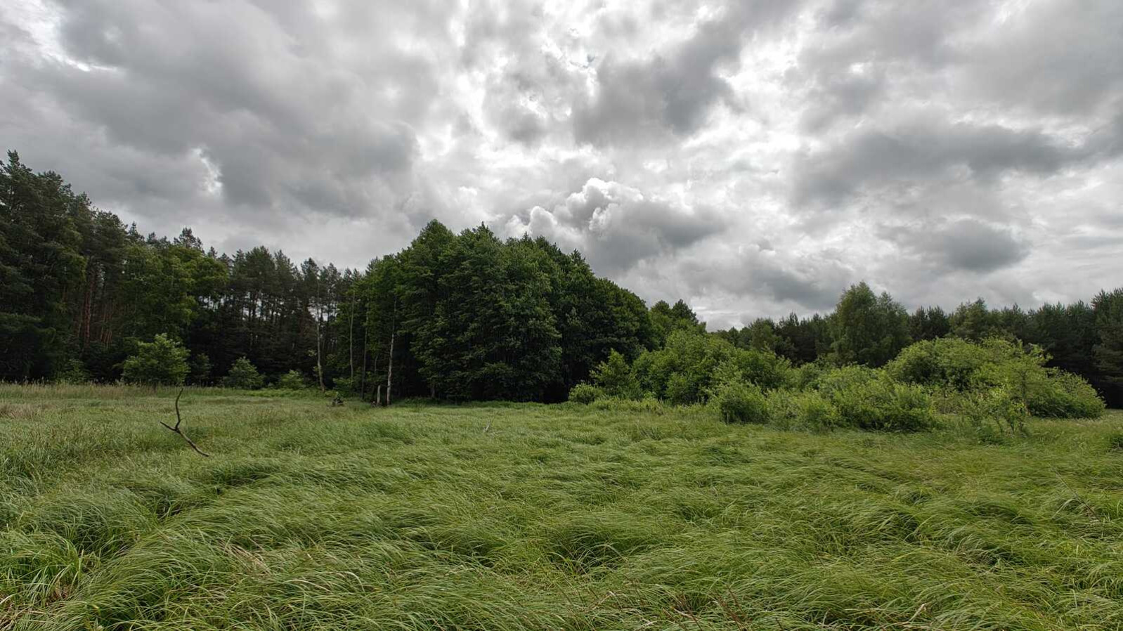 Działka Sprzedaż Nowogard 23