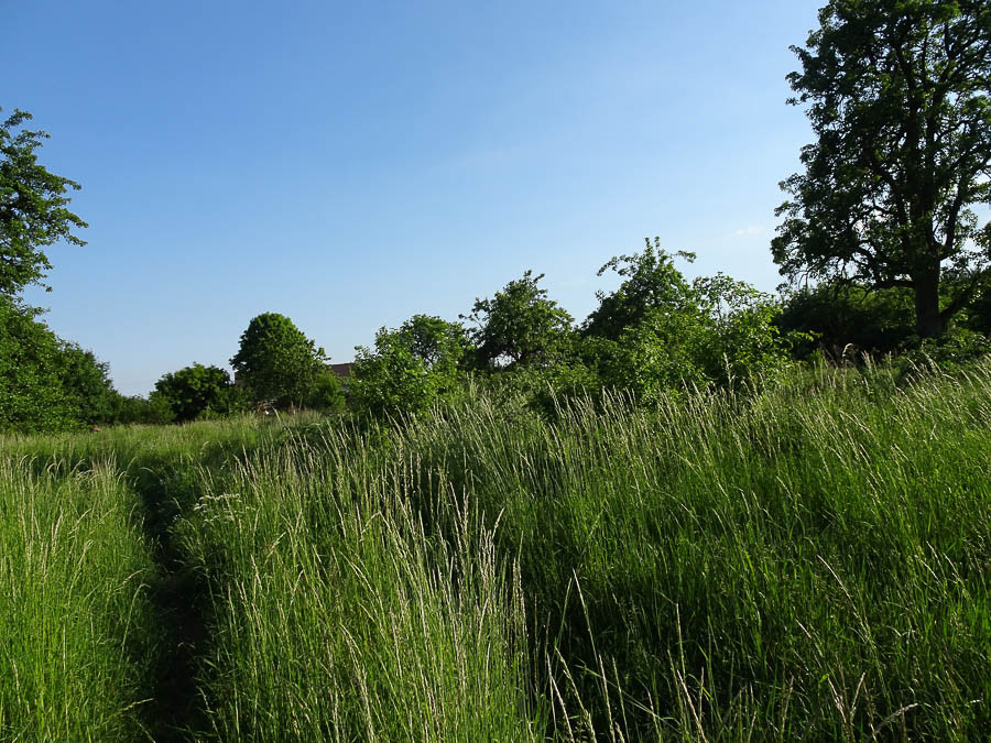 Działka Sprzedaż Binowo 10