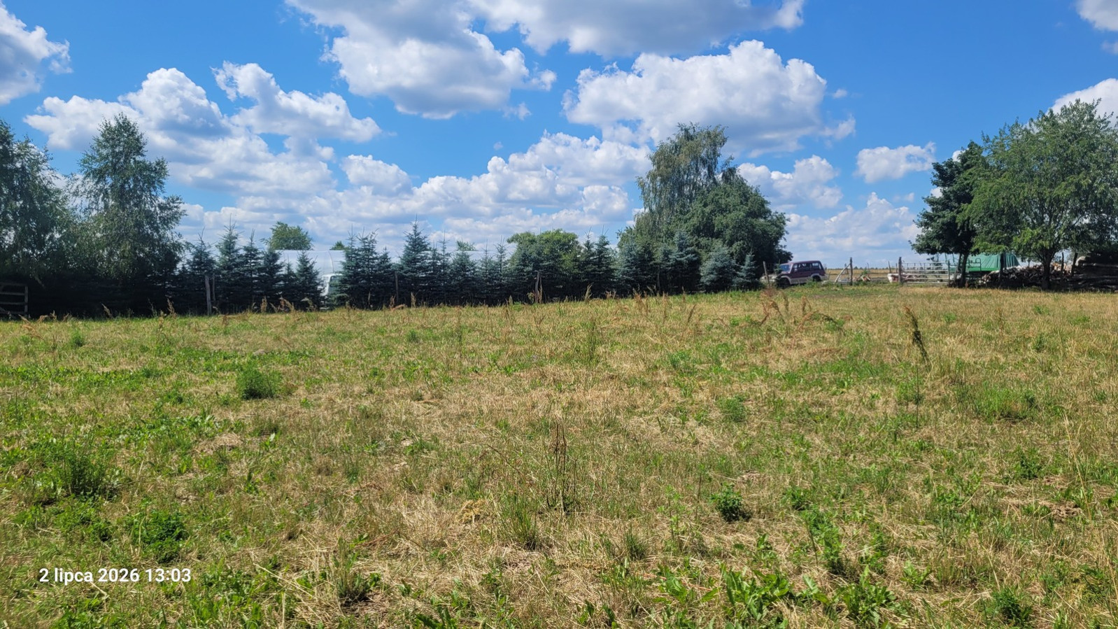 Działka Sprzedaż Wiśniewo