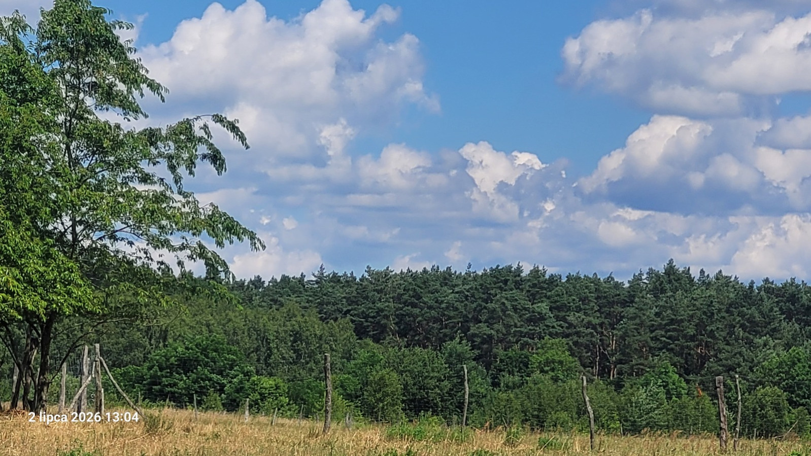 Działka Sprzedaż Wiśniewo