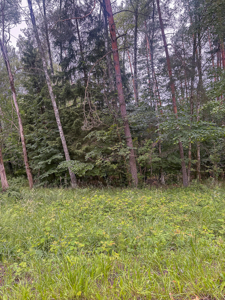 Działka Sprzedaż Piaseczno 8