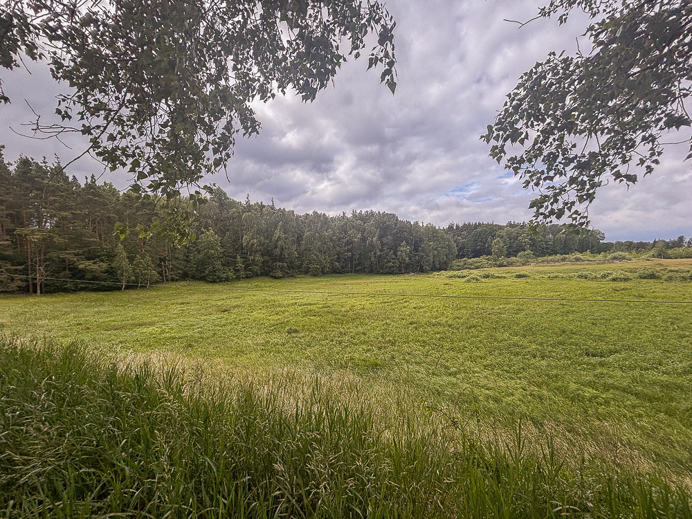 Działka Sprzedaż Piaseczno