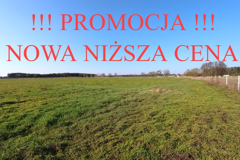 Działka Sprzedaż Lubczyna 1