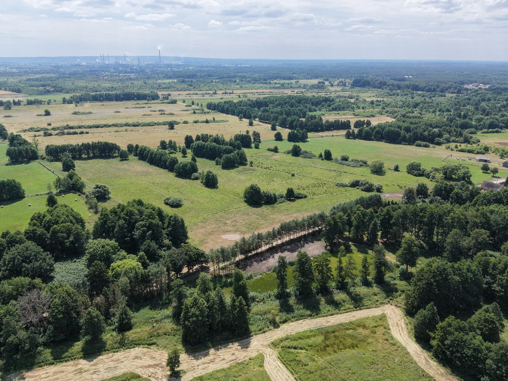 Działka Sprzedaż Uniemyśl 5