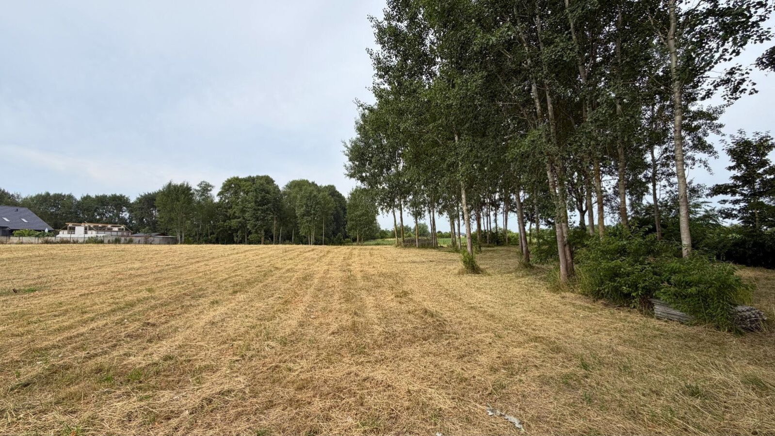 Działka Sprzedaż Marszewo 4