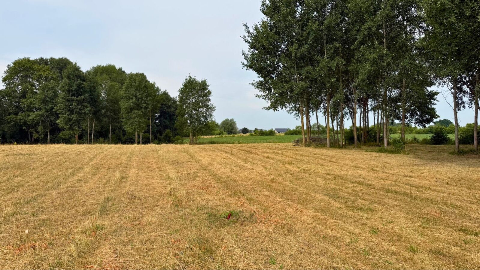 Działka Sprzedaż Marszewo 3