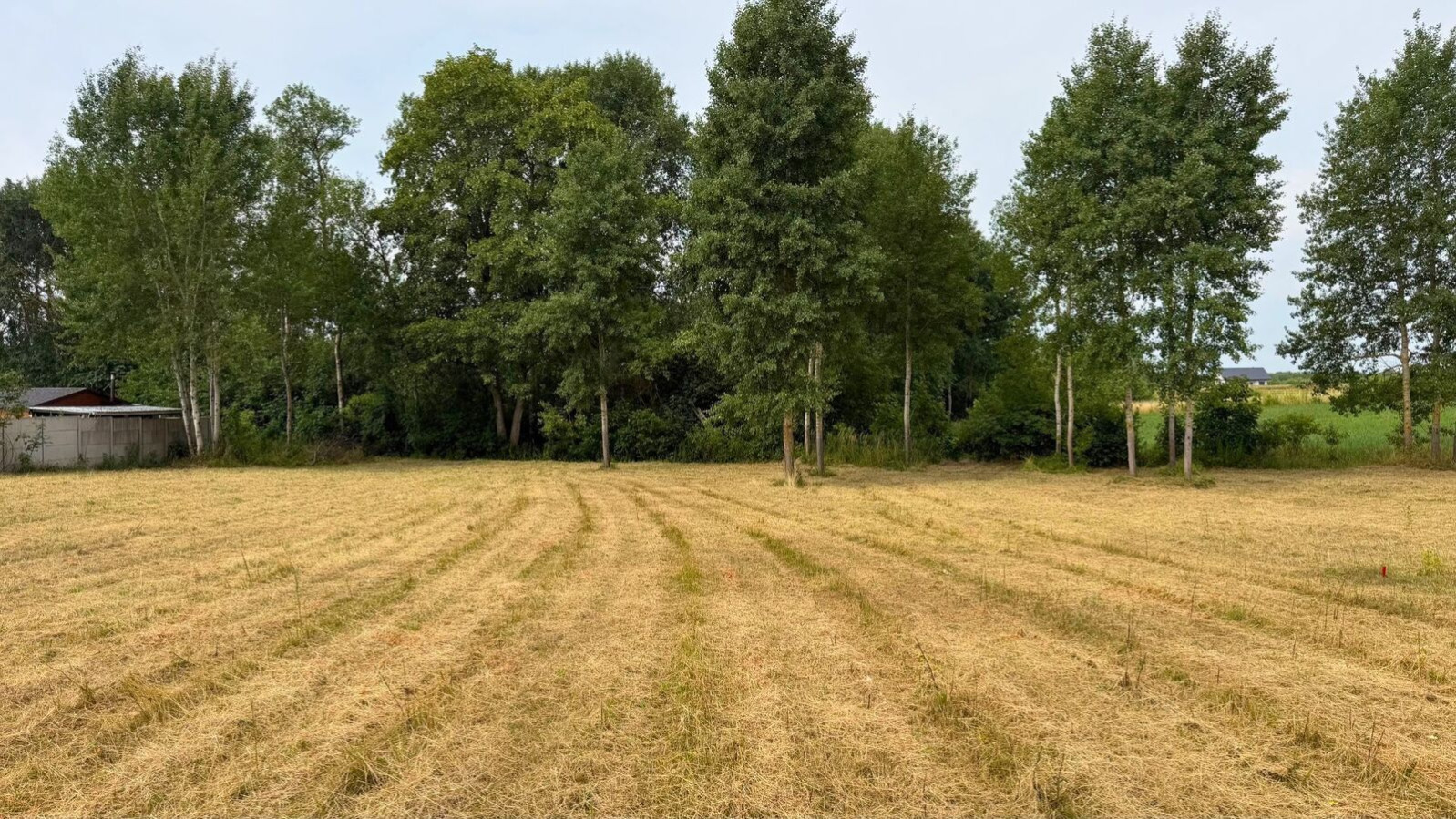 Działka Sprzedaż Marszewo 4