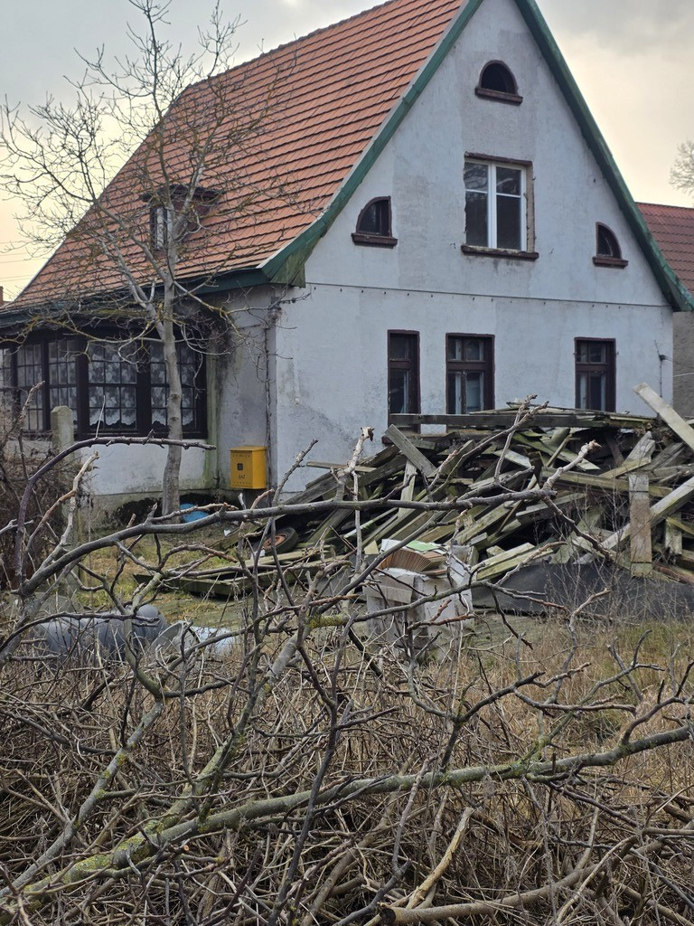 Dom Sprzedaż Trzebież Leśna 4
