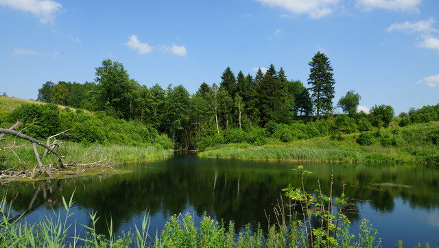 Działka Sprzedaż Bobolice 18