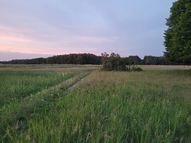 Działka Sprzedaż Lubczyna 1