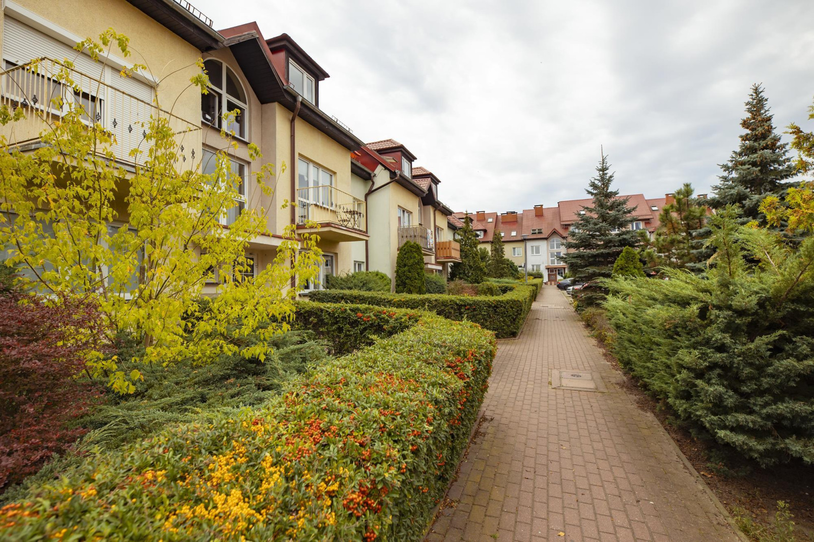 Mieszkanie Wynajem Szczecin Pogodno II Horeszków 2