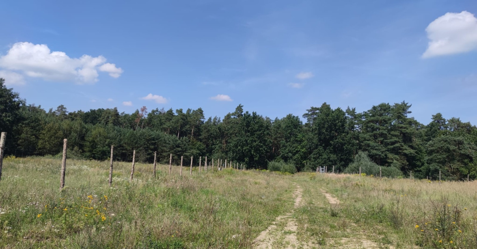 Działka Sprzedaż Kościno 4