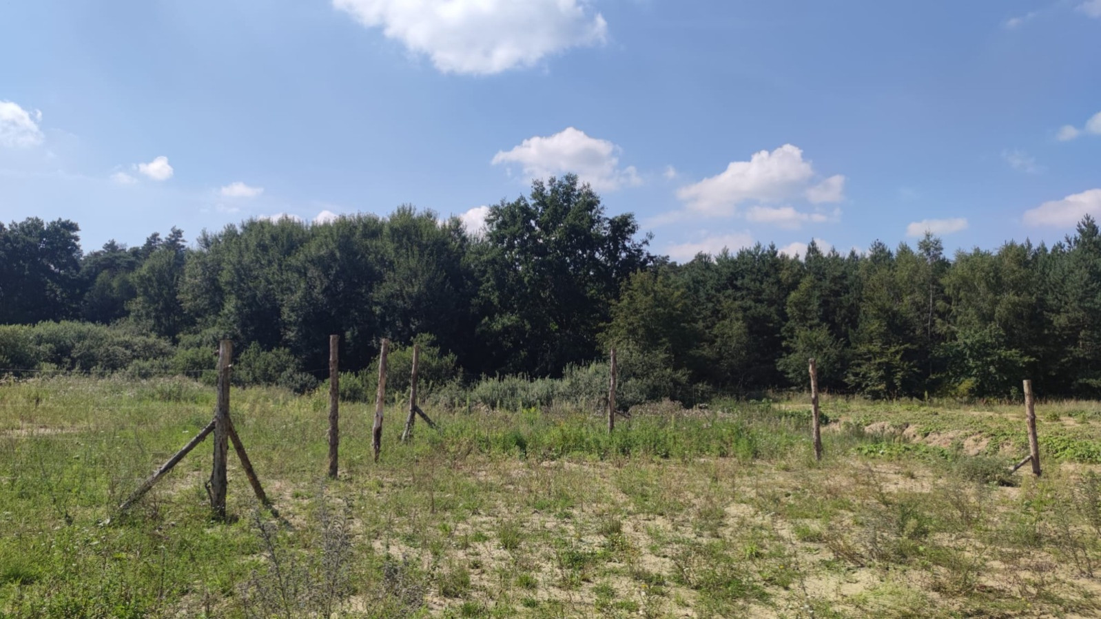 Działka Sprzedaż Kościno 2