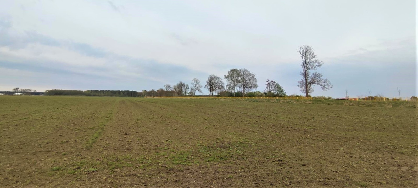 Działka Sprzedaż Lubczyna 4