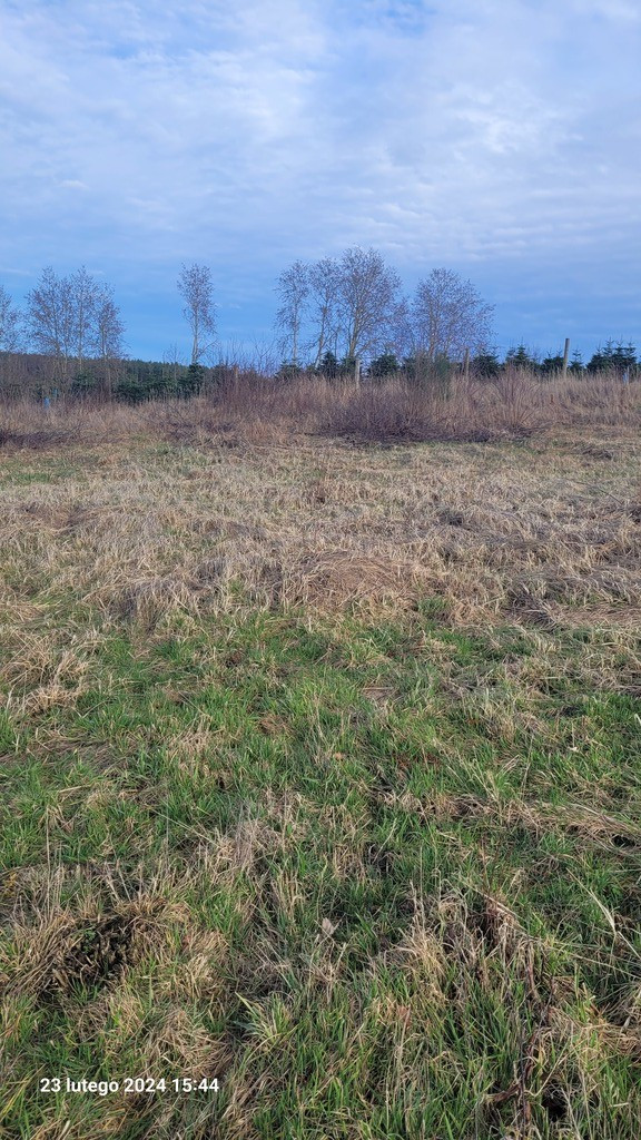Działka Sprzedaż Zieleniewo 5