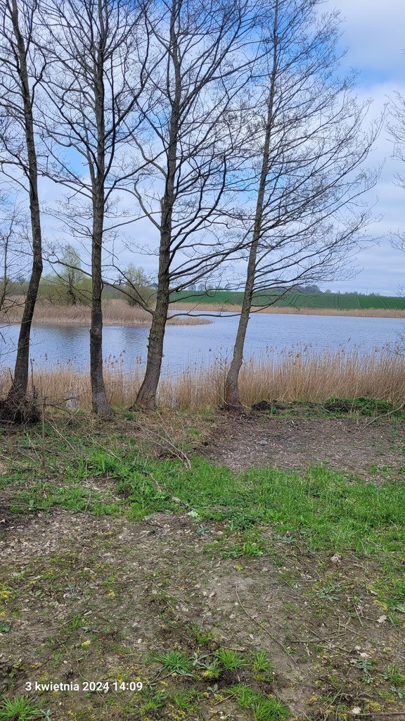 Działka Sprzedaż Zieleniewo 2