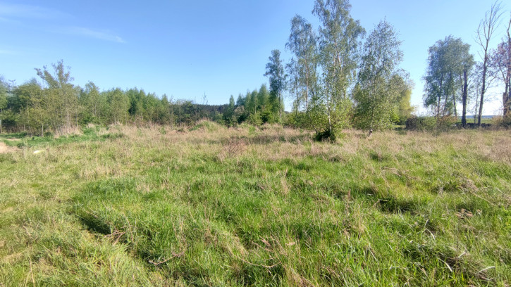 Działka Sprzedaż Sławoszewo 4