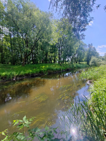 Działka Sprzedaż Żarowo 7
