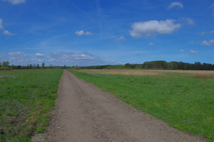 Działka Sprzedaż Niedźwiedź 8