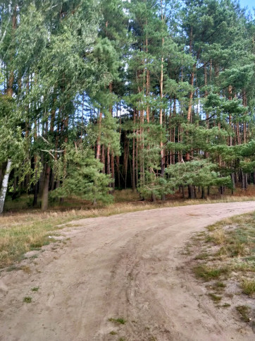 Działka Sprzedaż Tanowo Szczecińska 2