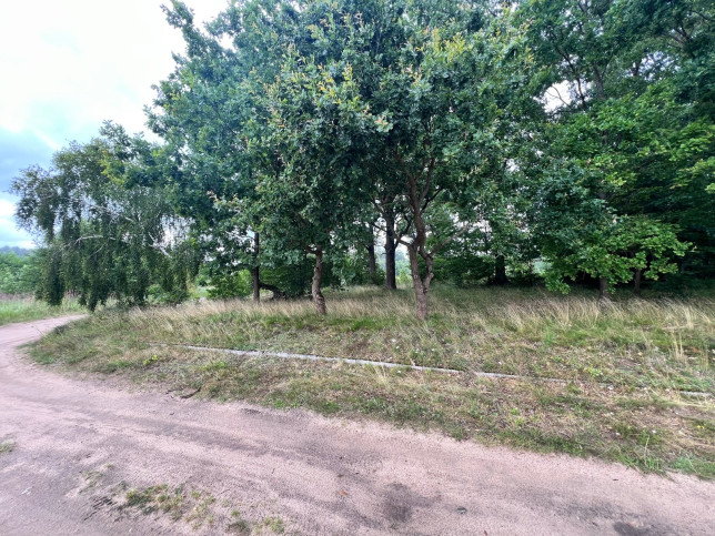 Działka Sprzedaż Storkowo 3