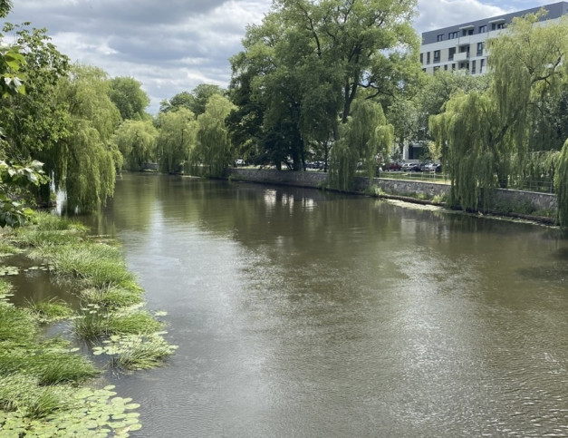 Mieszkanie Sprzedaż Kołobrzeg ppor. Edmunda Łopuskiego 6