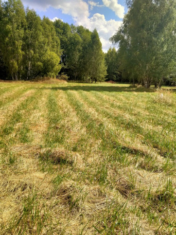 Działka Sprzedaż Grzepnica 1