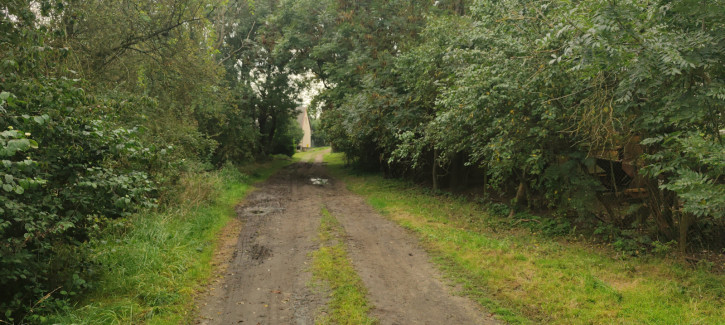 Działka Sprzedaż Barnisław 6