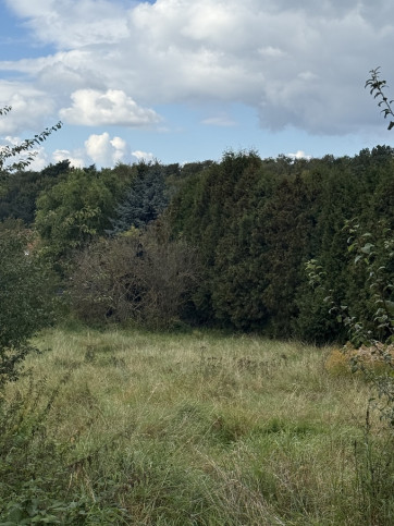 Działka Sprzedaż Szczecin Pilchowo 1