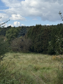 Działka Sprzedaż Szczecin Pilchowo