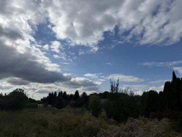 Działka Sprzedaż Szczecin Pilchowo