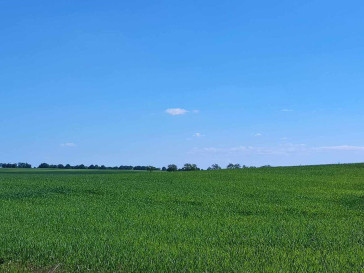 Działka Sprzedaż Grabowo