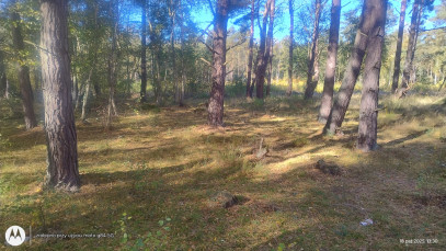 Działka Sprzedaż Dziwnów