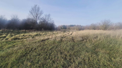Działka Sprzedaż Tatynia