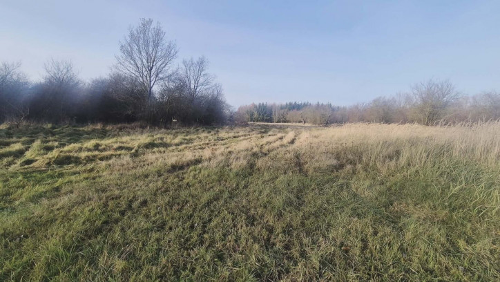 Działka Sprzedaż Tatynia 2