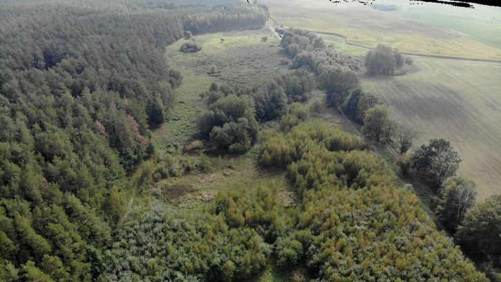 Działka Sprzedaż Rów 2