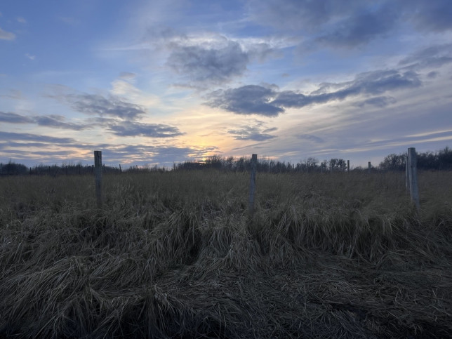 Działka Sprzedaż Szczecin Skolwin 3