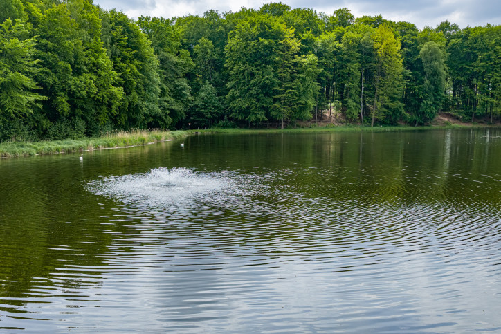 Działka Sprzedaż Wisławie 12