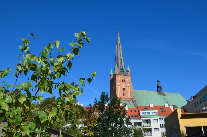 Mieszkanie Wynajem Szczecin Centrum 16