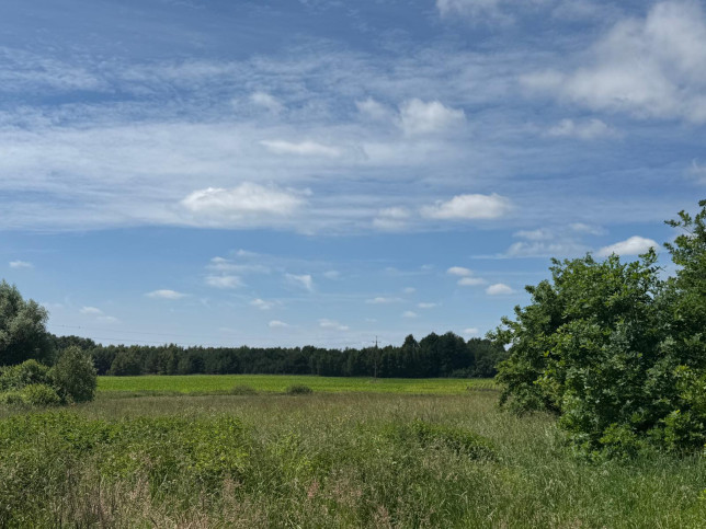 Działka Sprzedaż Krasnołęka 10