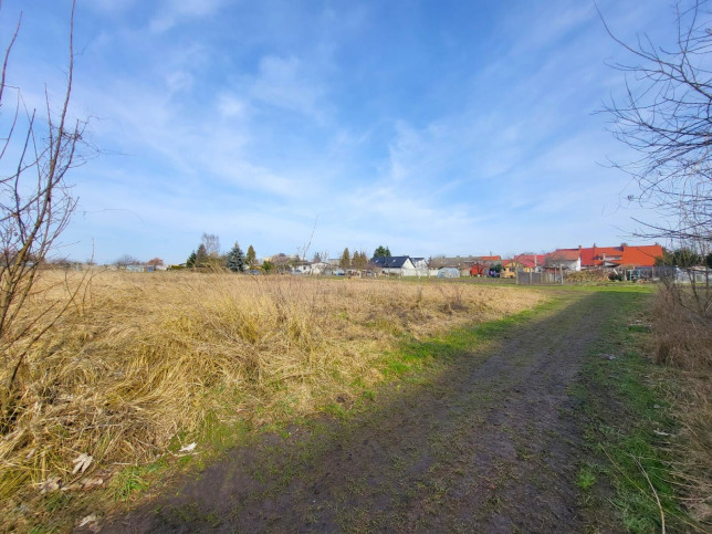 Działka Sprzedaż Koszewo 2
