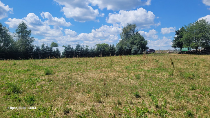 Działka Sprzedaż Wiśniewo 3