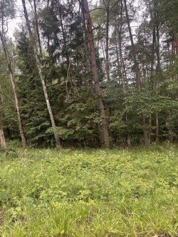 Działka Sprzedaż Piaseczno 5