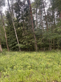 Działka Sprzedaż Piaseczno